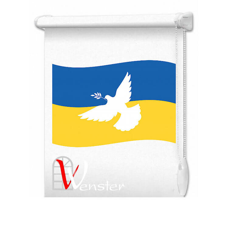 Рулонные шторы Все будет Украина